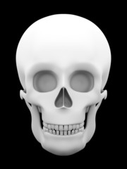 white skull