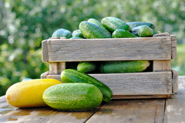 cucumbers