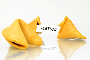 Fortune