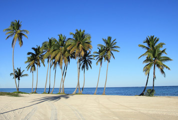 Fototapeta premium punta cana