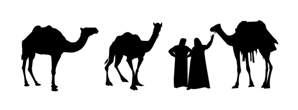 camel riders in black and white