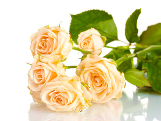 Bouquet of white roses isolated on white