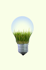 Growth of your idea in electric bulb.