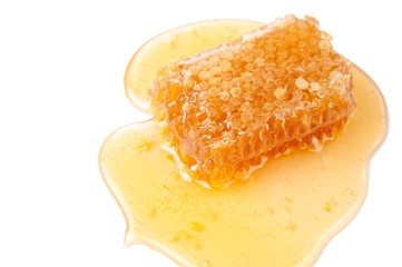 Fresh honey and yellow honeycomb, isolated over white