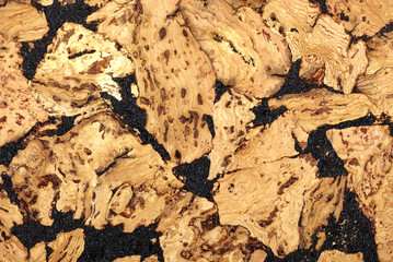 wood texture background