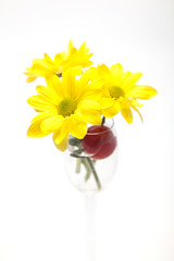 Yellow flowers in a wine-glass on a white background