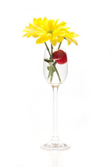 Yellow flowers in a wine-glass on a white background