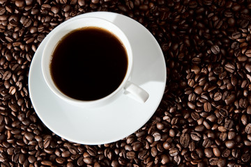 Fototapeta premium Cup of coffee on coffee. beans