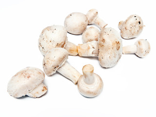 Champignons