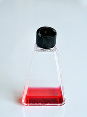 Tissue culture flask