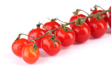 Beautiful cherry tomatoes on a branch isolated on white