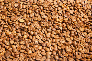 Coloured coffee texture. Coffee beans closeup