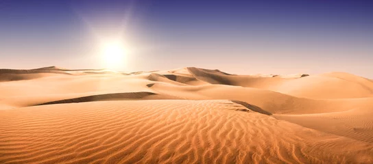Foto op Canvas Gouden woestijn. © Igor Chaikovskiy