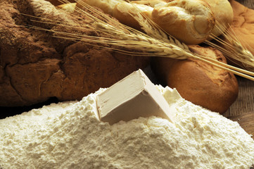 Yeast 酵母 Lievito Levedura Levure