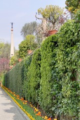 statue dans un jardin italien