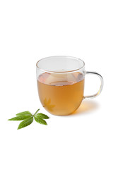 Cup of herbal tea with jiaogulan herb