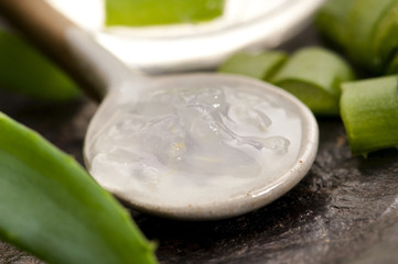 aloe vera juice with fresh leaves
