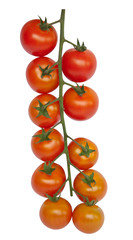 Cherry tomato