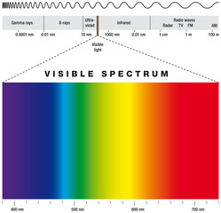 Electromagnetic spectrum and visible light. Electromagnetic spectrum of possible frequencies of electromagnetic radiation with colors of the visible spectrum. Illustration on white background. Vector.