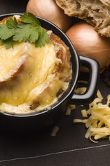 French onion soup with ingredients