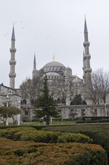 Fototapeta na wymiar Blue Mosque - Istanbul / Turkey