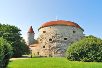 Obraz premium Tallinn. Fat Margaret Tower