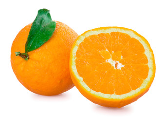 Oranges isolated