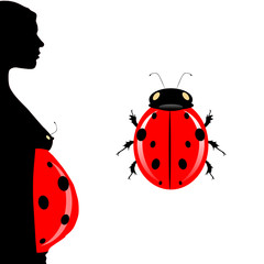 pregnant woman with belly and illustration ladybug
