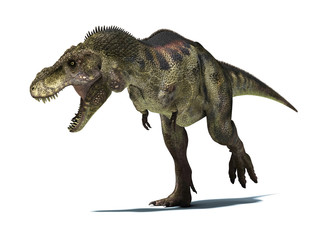 Tyrannosaurus Rex, isolated on white background with clipping pa © Pixelchaos
