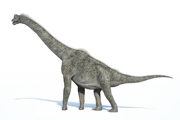 Photorealistic 3 D rendering of a Brachiosaurus.