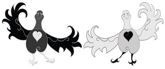 Black and white birds.