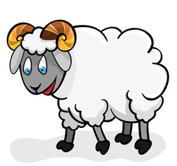 Cute sheep.