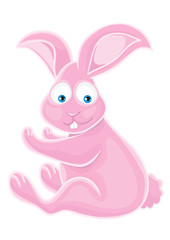 Rabbit on a white background.