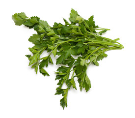 parsley isolated