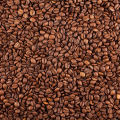 Coffee crop texture