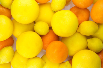 grapefruit, oranges, lemons and tangerines