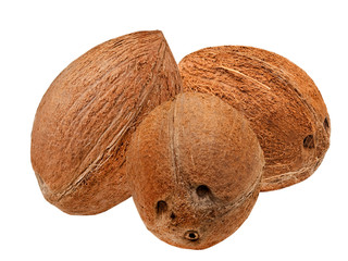 coconut isolated on white background