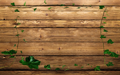 cornice di edera sul legno