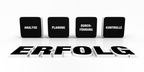 Text Konzept - 3D Erfolg Schwarz 2