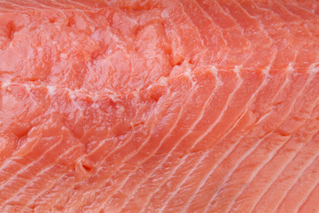 Seared salmon fillet