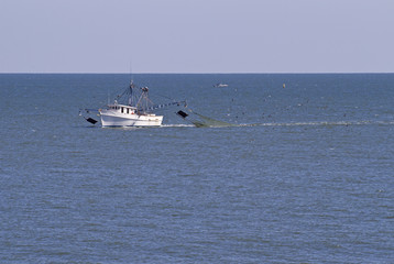 Working Trawler