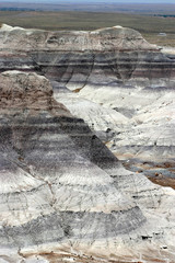 Striated Petrified Forest