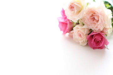 Pink roses bouquet on white background with copy space