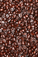 Coffee beans texture