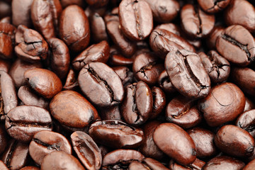 coffee bean
