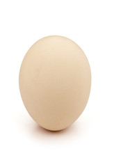 egg with clipping path