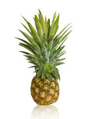 Fototapeta premium Fresh pineapple