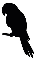Obraz premium Parrot on a pole, silhouette