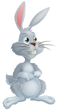 White rabbit cartoon character