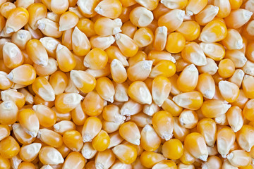 Corn